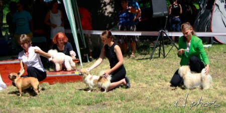 Srb.JCH Pearl Eyed Bears Elena in BIS ring